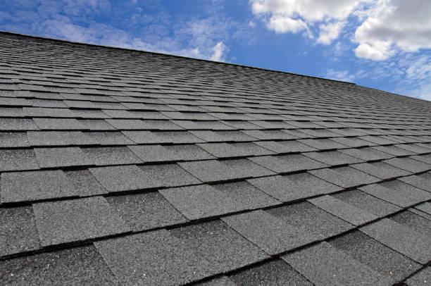 Best Roof Maintenance and Cleaning  in Portland, MI